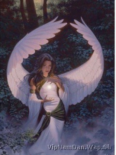 VipNamDan.wap.sh